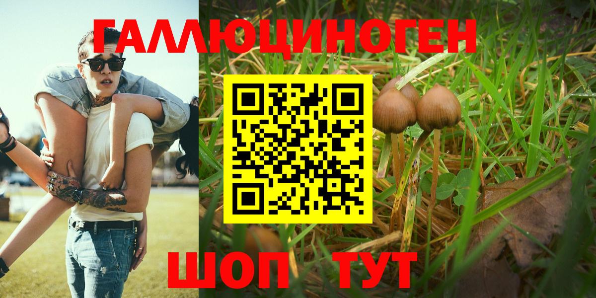 Псилоцибиновые грибы мухоморы Белебей